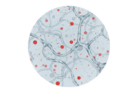 3 sizes of Hyaluronic Acid