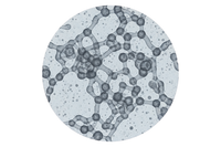 100–300 kDa Hyaluronic acid